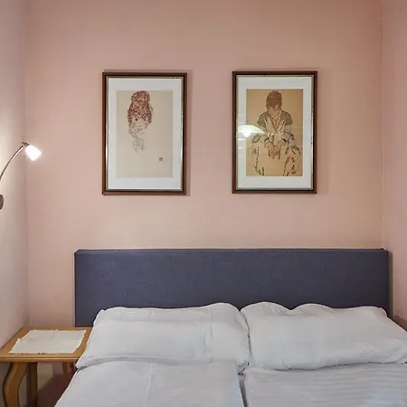 Appartements Alpin Saalbach-Hinterglemm Esterno foto